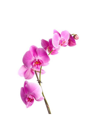 rencontre a domicile lyon